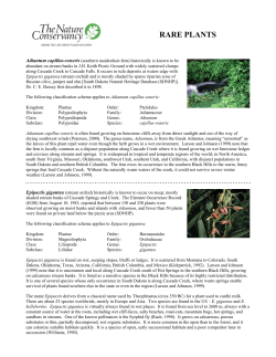 Adiantum capillus-veneris