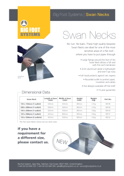 Swan Necks A4 2pp:Layout 1