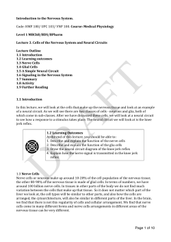Page 1 of 10 Introduction to the Nervous System. Code: HMP 100