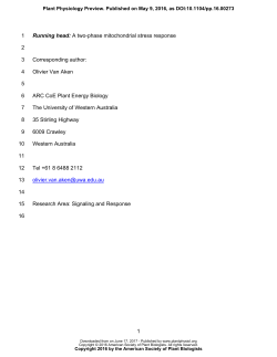 Mitochondrial and chloroplast stress responses
