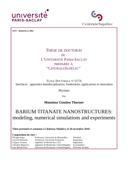 BARIUM TITANATE NANOSTRUCTURES: modeling, numerical