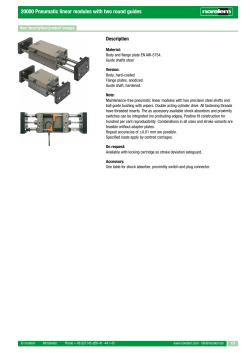 20000 Pneumatic linear modules with two round guides