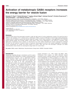 Activation of metabotropic GABA receptors increases the energy