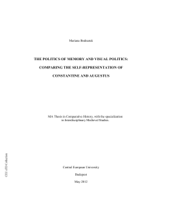 the politics of memory and visual politics: comparing the self