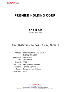 premier holding corp.