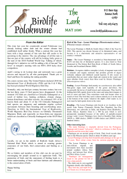 MAY 2010 - Birdlife Polokwane