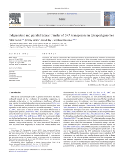 Independent and parallel lateral transfer of DNA