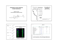 Cholesterol and its influence in lipid membranes