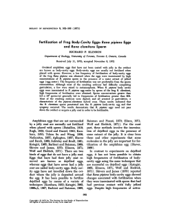 Fertilization of Frog Body-Cavity Eggs: Rana Eggs and Rana Sperm