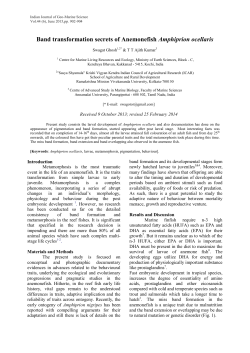 Band transformation secrets of Anemonefish Amphiprion