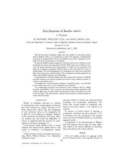 Fine Structure of Bacillus subtilis I. Fixation