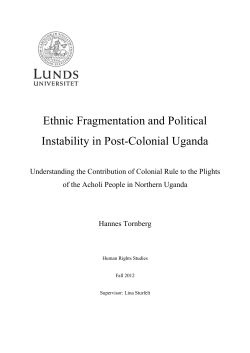 Ethnic Fragmentation and Political Instability in Post