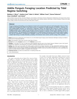Adelie Penguin Foraging Location Predicted by Tidal