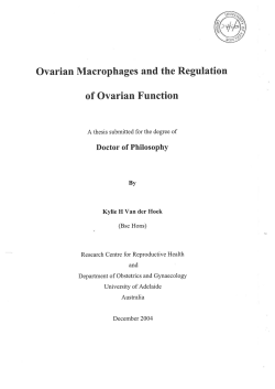 Ovarian Macrophages And The Regulation Of Ovarian Function