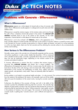 Problems with Concrete - Efflorescence 1.3