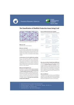 The Classification of Shellfish Production Areas Using E.coli