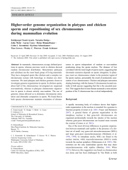 Higher-order genome organization in platypus and chicken sperm