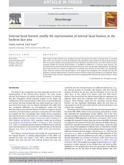 External facial features modify the representation of internal facial