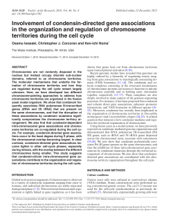 Involvement of condensin-directed gene