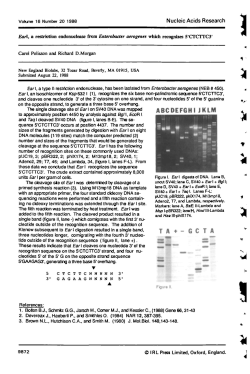 Ear I, a restriction endonuclease from Enterobacter aerogenes