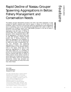 Rapid Decline of Nassau Grouper Spawning Aggregations in Belize