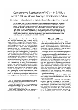 Comparative replication of HSV-1 in BALB/c and C57BL/6