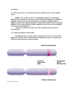 4.2 Meiosis 4.2.1 State that meiosis is a reduction division of a