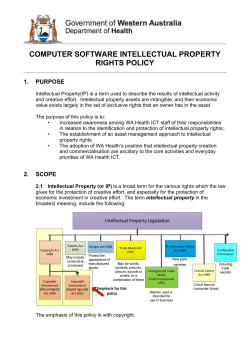 Computer Software Intellectual Property Rights Policy
