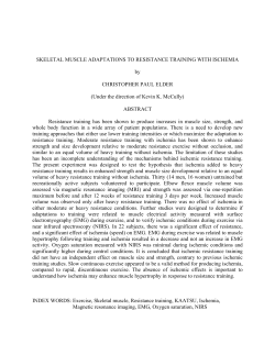 skeletal muscle adaptations to resistance training with heavy load