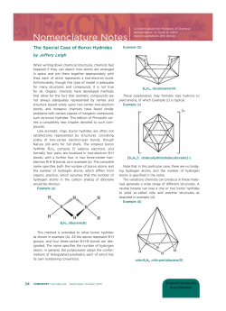 The Special Case of Boron Hydrides