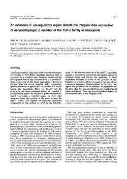 An extensive 3` c/s-regulatory region directs the