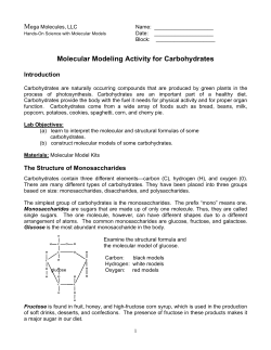 LAB Modeling Carbohydrates