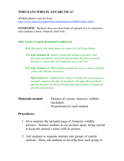 WHO EATS WHO IN ANTARCTICA? Materials needed: