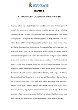 CHAPTER 1