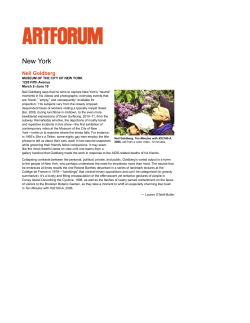 Artforum.com - Neil Goldberg