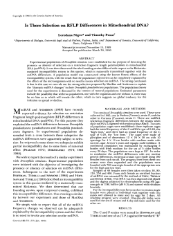 Is There Selection on RFLP Differences in Mitochondrial DNA?