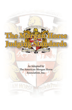 here - American Morgan Horse Association