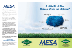 A Little Bit of Blue Makes a Whole Lot of Green&trade;