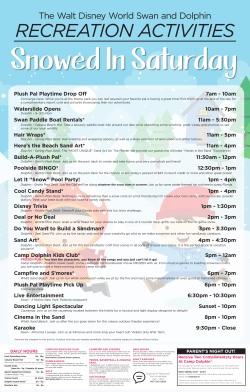 Saturday - Swan and Dolphin