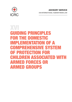 Guiding Principles for the Domestic Implementation of a