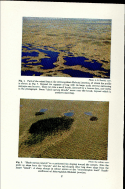 BOGS AND FENS IN THE HUDSON BAY LOWLANDS