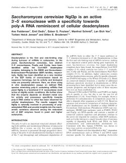 Saccharomyces cerevisiae Ngl3p is an active 30