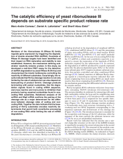The catalytic efficiency of yeast ribonuclease III depends on