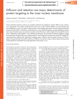 Diffusion and retention are major determinants of protein targeting to