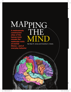 A meticulously constructed atlas of the human brain reveals the