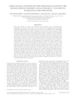 structural analysis of the digestive gland of the queen conch