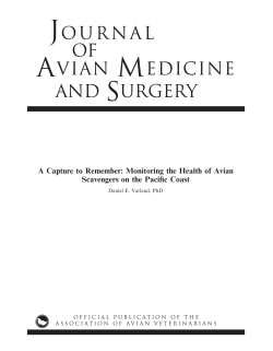 Monitoring the Health of Avian Scavengers on the Pacific Coast