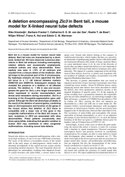 A deletion encompassing Zic3 in Bent tail, a