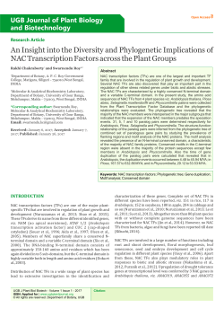 An Insight in to the Diversity and Phylogenetic Implications of NAC
