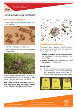 Conducting luring factsheet